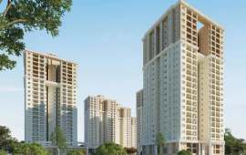 Cedar Woods at Brigade Meadows